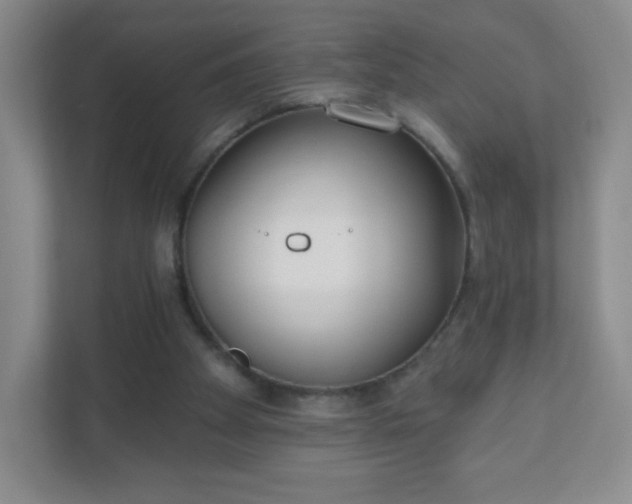 X0000110920105200906251426