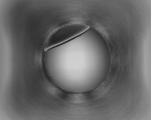X0000110920108200906251426