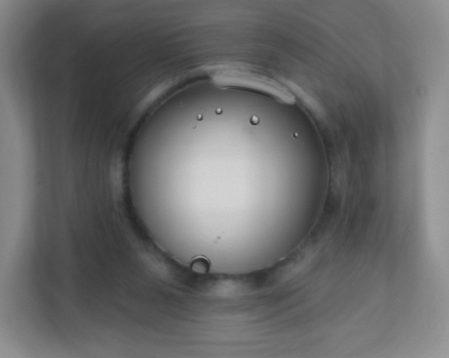 X0000110920111200906251426