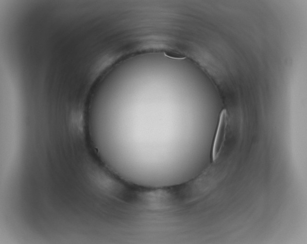 X0000110920112200906251426
