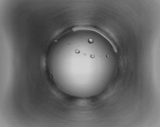 X0000110920115200906251426