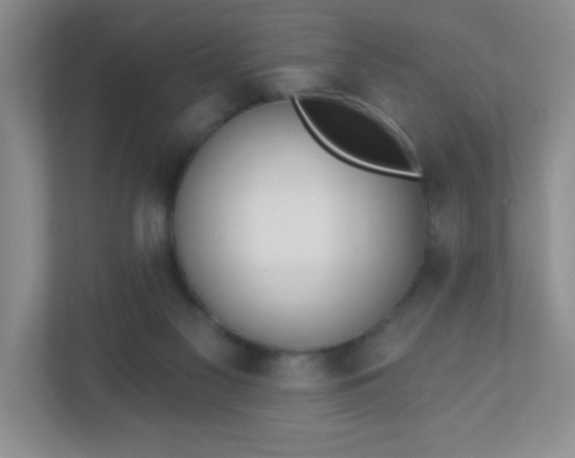 X0000110920117200906251426