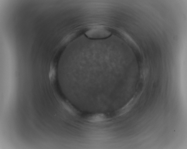 X0000110920124200906251426