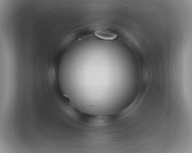 X0000110920128200906251426
