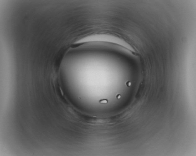 X0000110920129200906251426