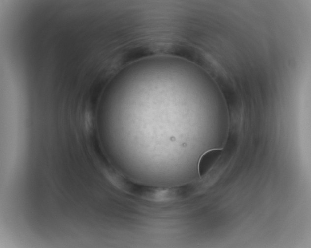 X0000110920130200906251426