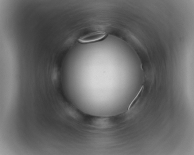 X0000110920132200906251426