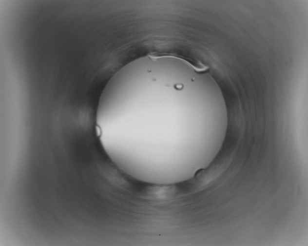 X0000110920135200906251426