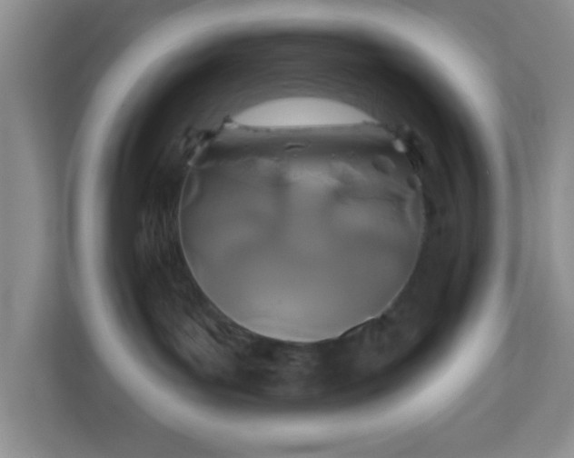 X0000110920143200906251425