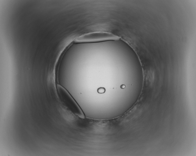 X0000110920148200906251425