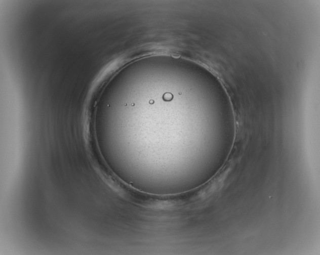 X0000110920149200906251425