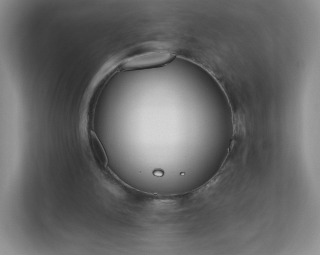 X0000110920150200906251425