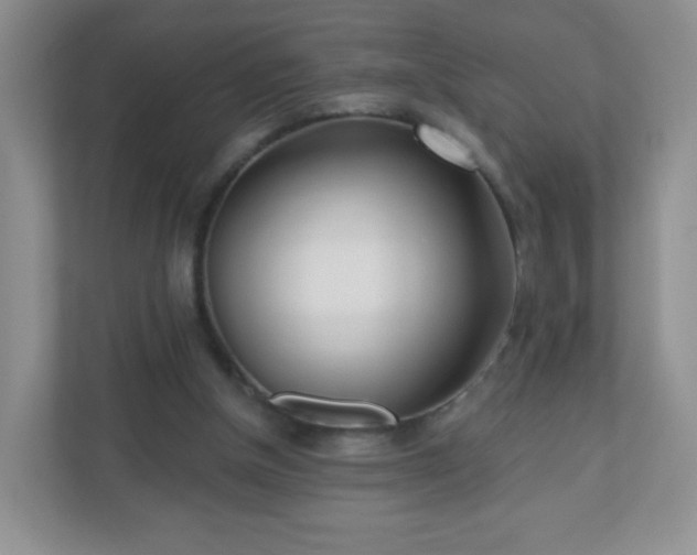 X0000110920154200906251425