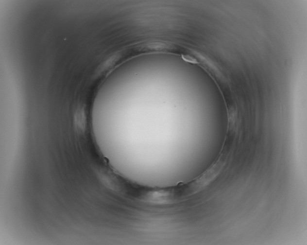 X0000110920158200906251425