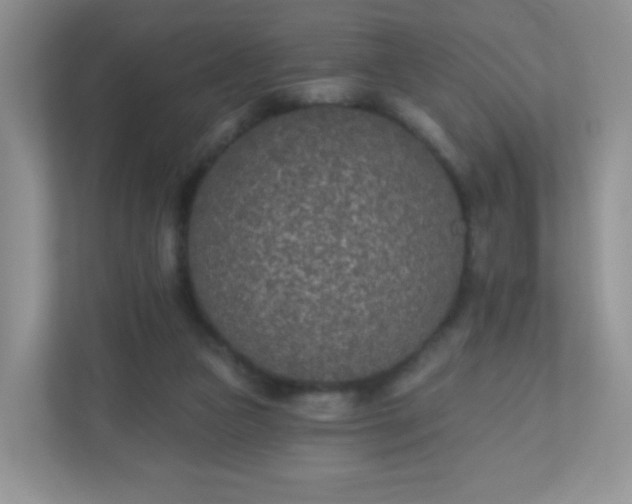X0000110920161200906251425