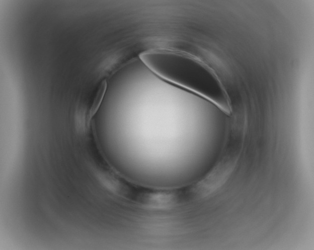 X0000110920168200906251425