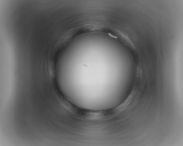 X0000110920170200906251425
