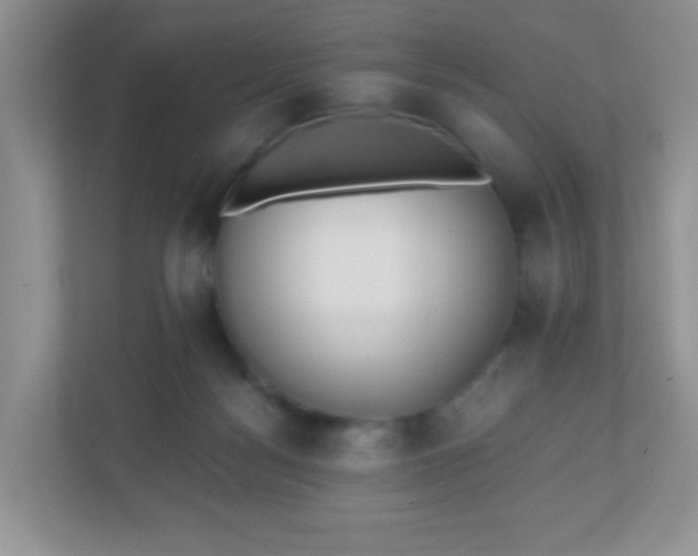 X0000110920172200906251425