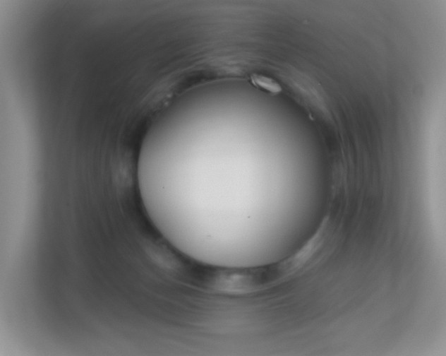 X0000110920174200906251425
