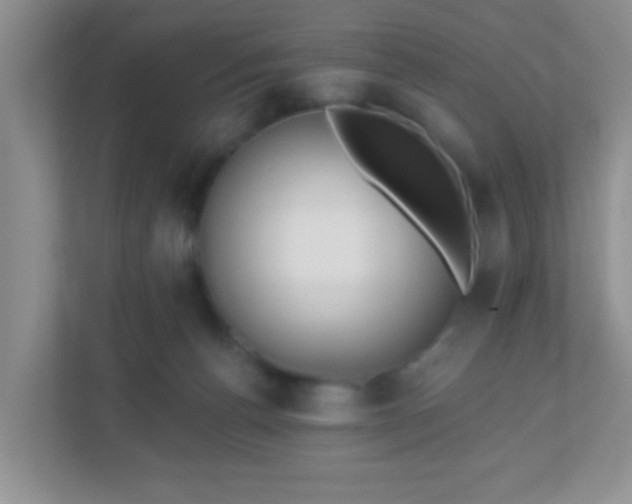 X0000110920176200906251425