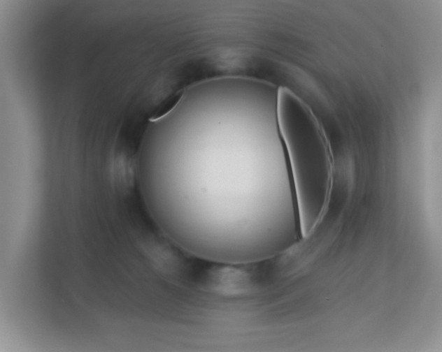 X0000110920180200906251425