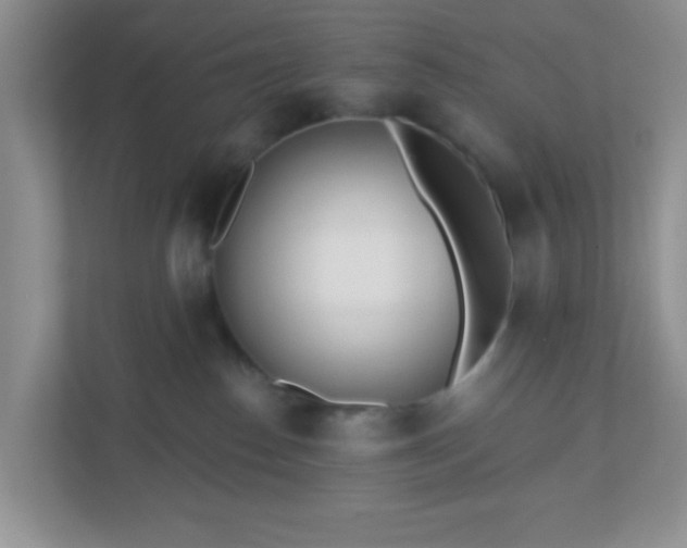 X0000110920186200906251425
