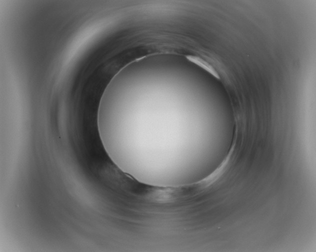X0000110920190200906251425