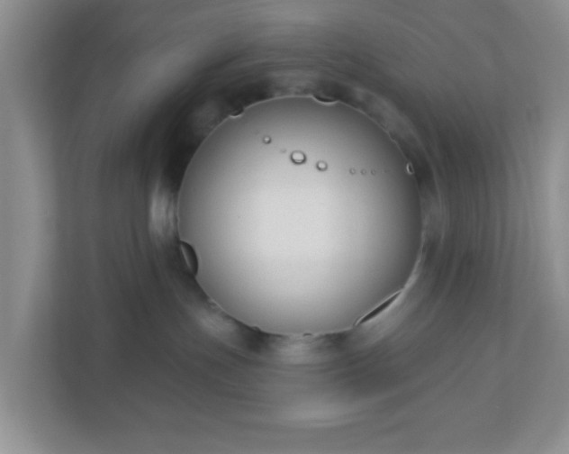 X0000110920191200906251425
