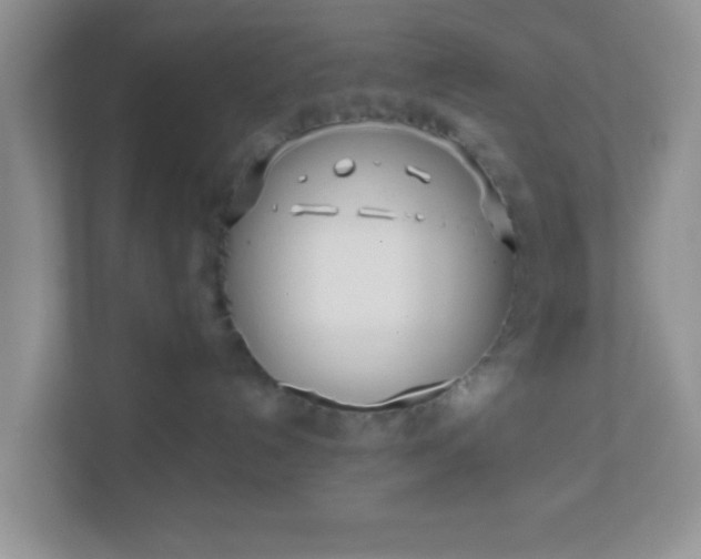 X0000110920192200906251425