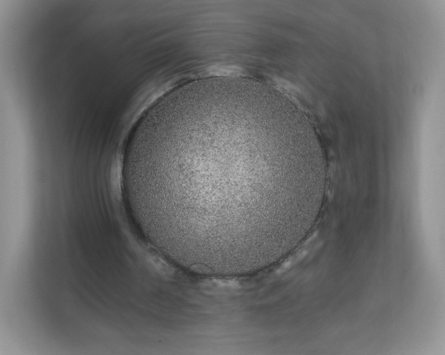 X0000110920194200906251425