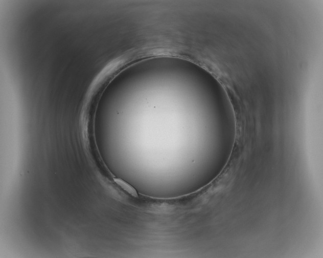 X0000110920197200906251425