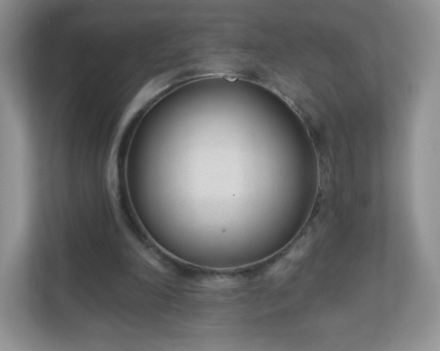 X0000110920198200906251425