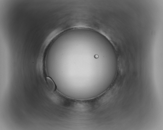 X0000110920199200906251425