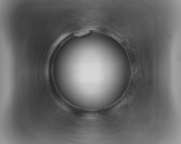 X0000110920200200906251425