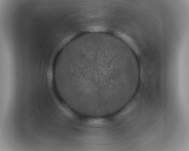 X0000110920202200906251425