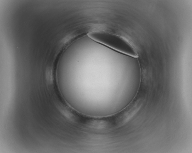 X0000110920203200906251425