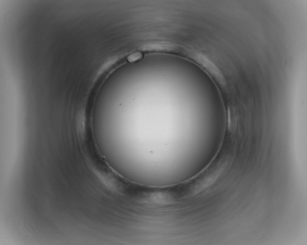 X0000110920204200906251425