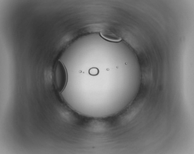X0000110920207200906251425