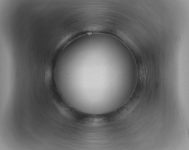X0000110920208200906251425