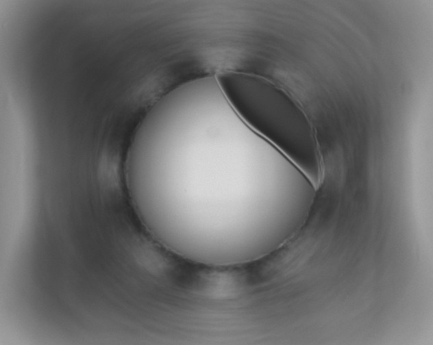 X0000110920209200906251425