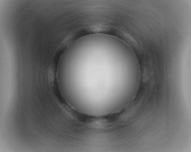 X0000110920210200906251425