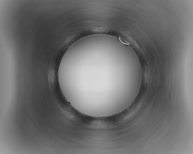 X0000110920211200906251425