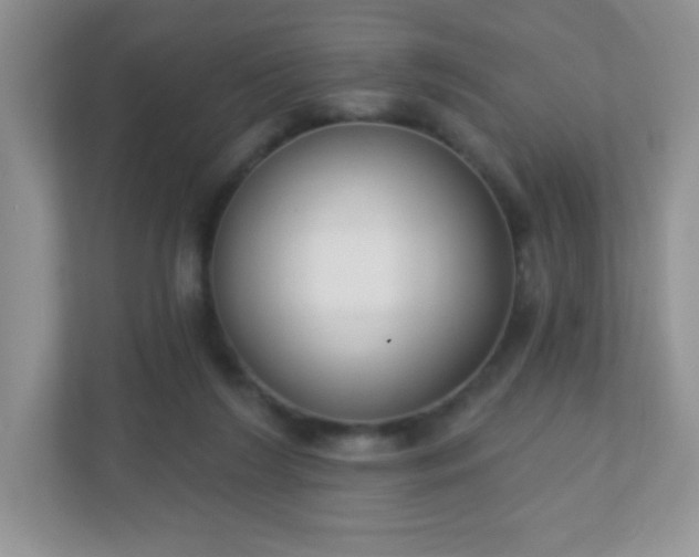 X0000110920212200906251425