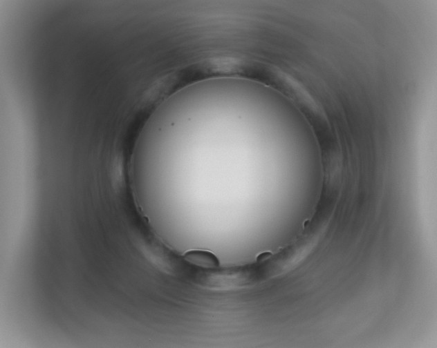 X0000110920213200906251425