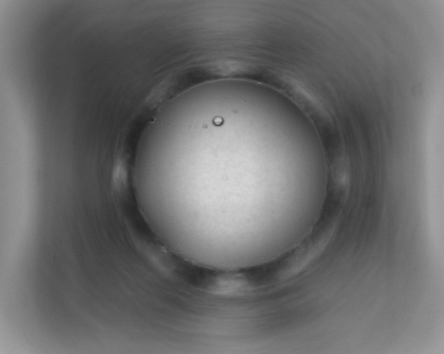 X0000110920214200906251425