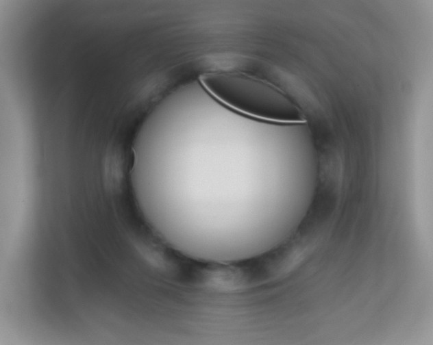 X0000110920215200906251424