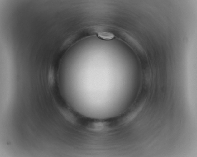 X0000110920216200906251424