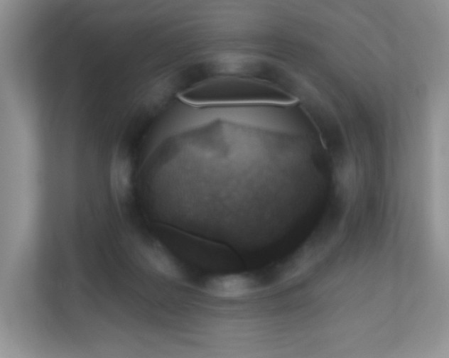 X0000110920219200906251424