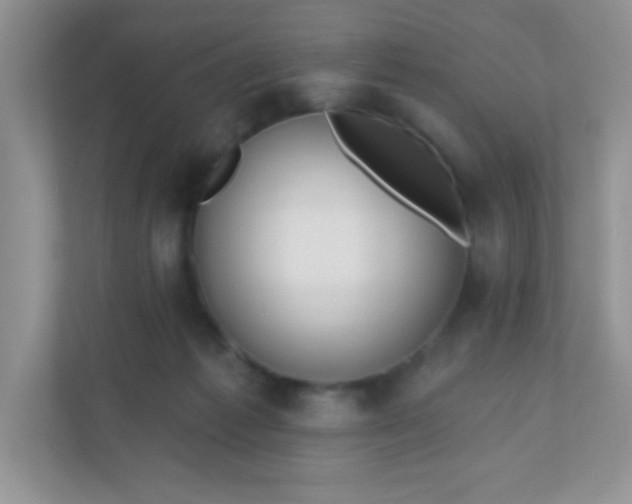 X0000110920221200906251424
