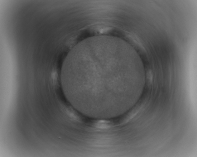 X0000110920222200906251424
